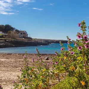 Arbocers Ciutadella (Menorca)